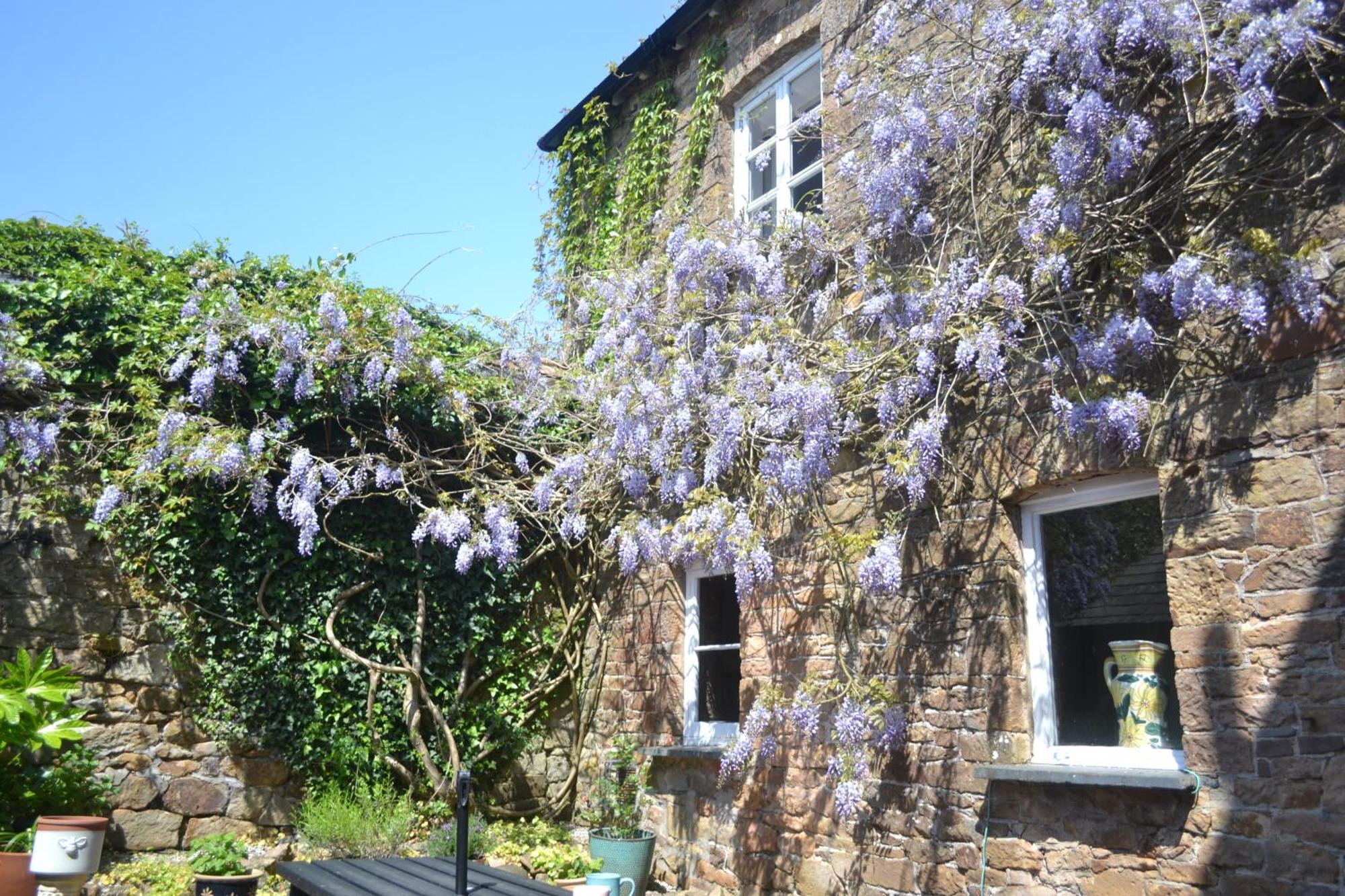 HatherleighThe Old Police Station别墅 外观 照片